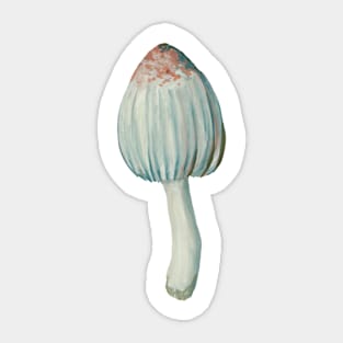 Mushroom Master Toadstool Sticker